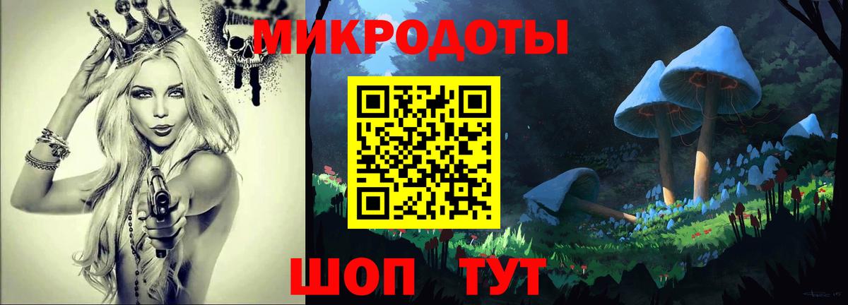 Галлюциногенные грибы прущие грибы Дивногорск